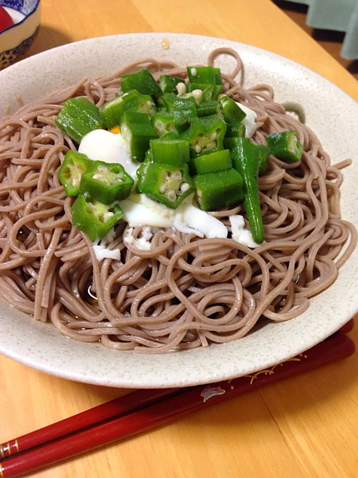 お蕎麦
温泉卵とオクラをのせました|りりこさん