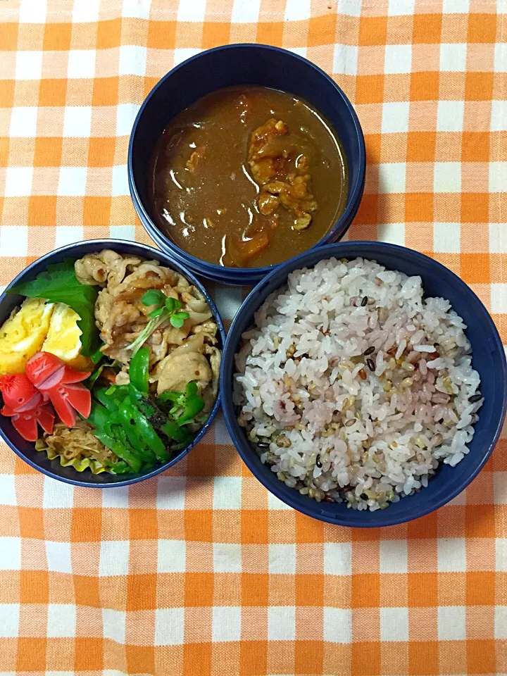 9月26日の高2男子のお弁当♪|ごっちさん