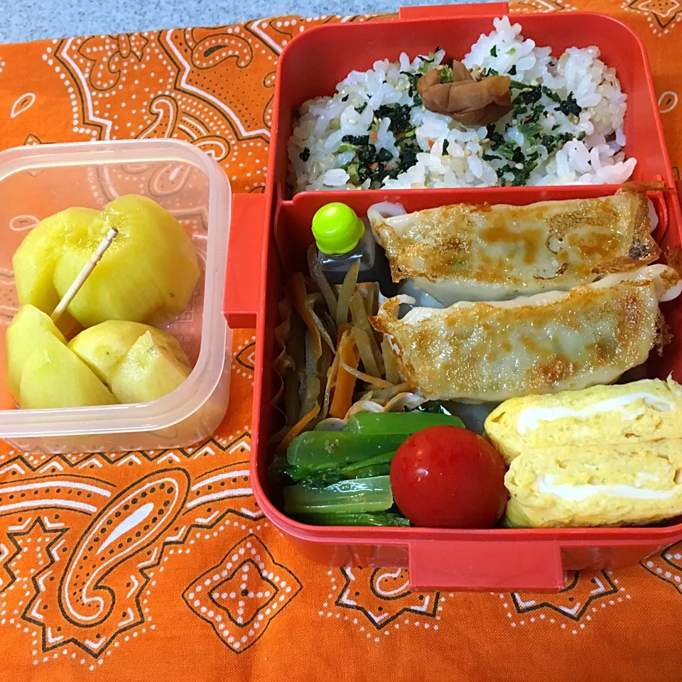 9/25☆味の素餃子でお弁当☆|Satokoさん