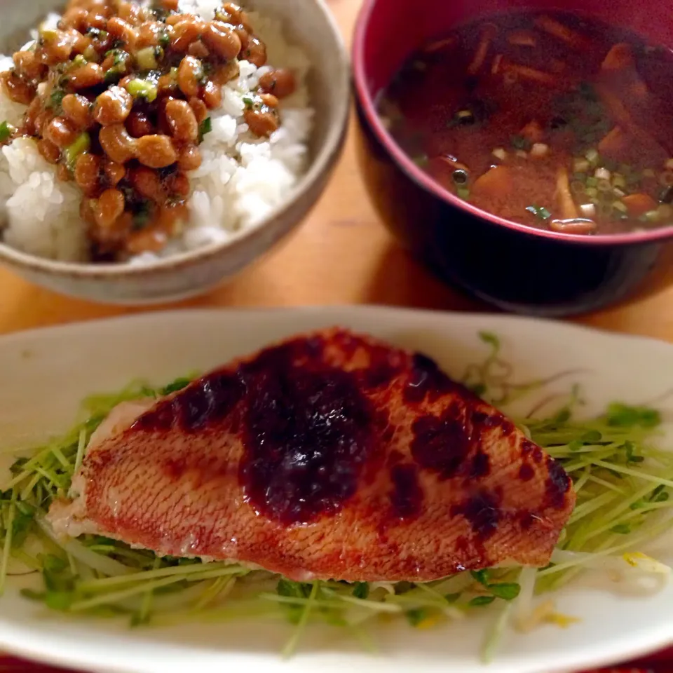 Snapdishの料理写真:朝定食🌞納豆ご飯とナメコ汁、赤魚の粕漬けにはモヤシと豆苗の昆布茶和えを付け合わせて♫|こなちゅんさん