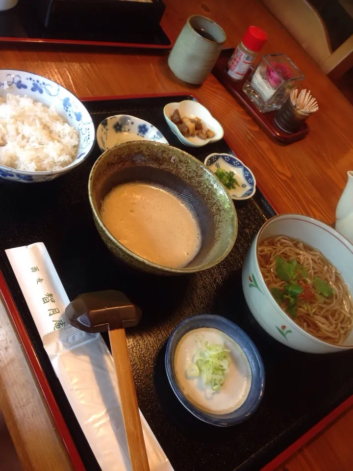 ランチの とろろご飯と温かいお蕎麦のセット|norma’sさん