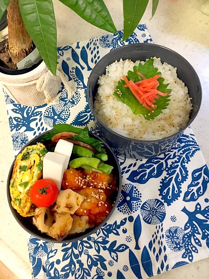 高校男子弁当🏉
✴︎ハムステーキ
✴︎唐揚げケチャップ和え
✴︎竹輪の甘辛煮
✴︎ネギ入り卵焼き|emisanさん