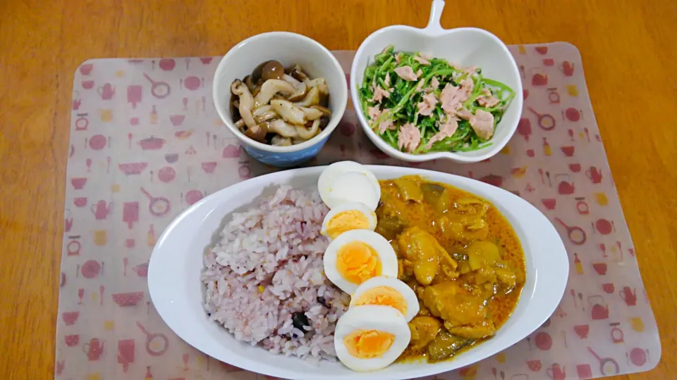 Snapdishの料理写真:９月１３日　茄子と鶏肉のカレー　ツナと豆苗のサラダ　きのこのマリネ|いもこ。さん