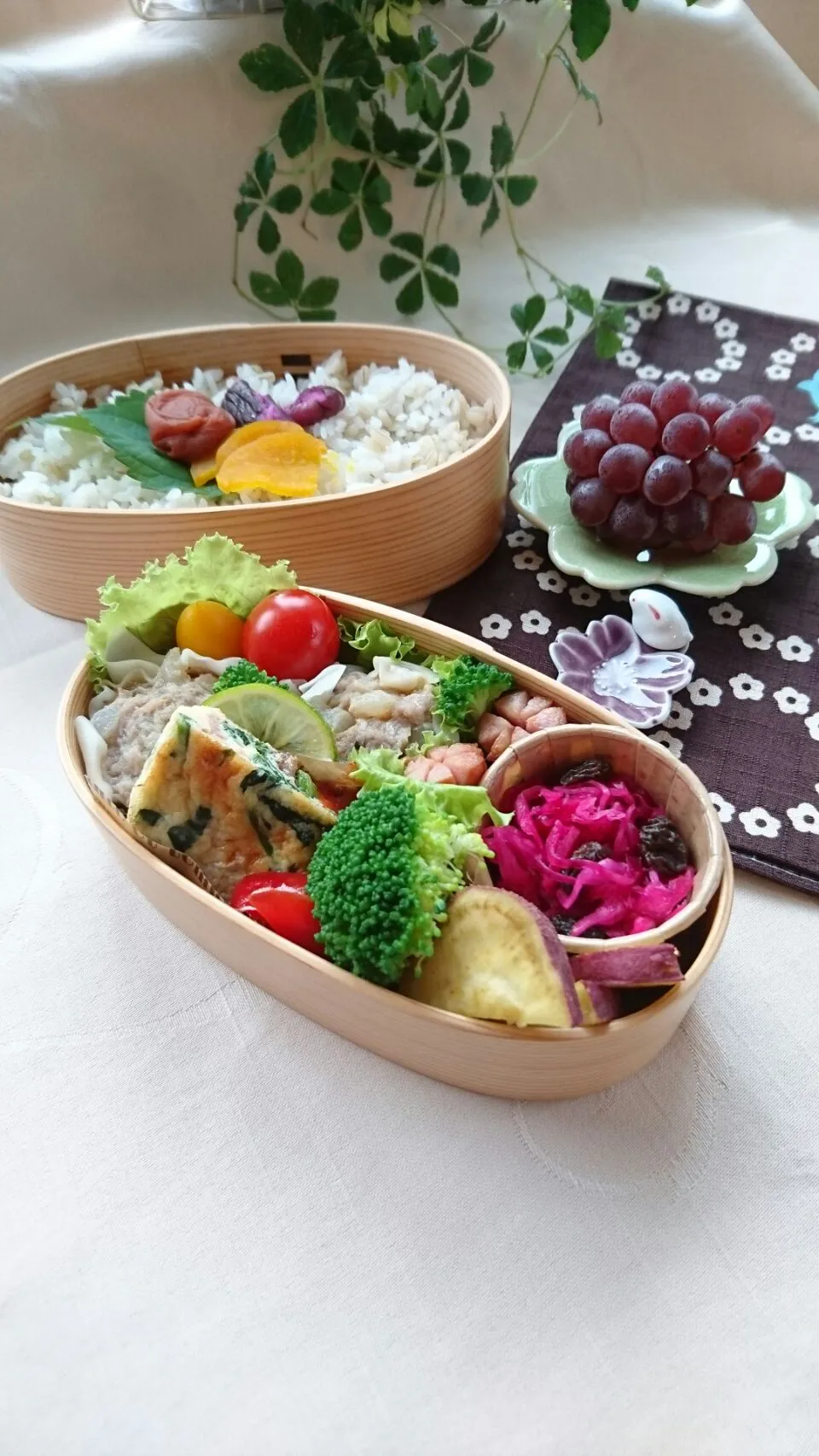 Snapdishの料理写真:シュウマイ弁当 #娘弁当 #ほうれん草のキッシュ #麦ご飯|e  satoさん