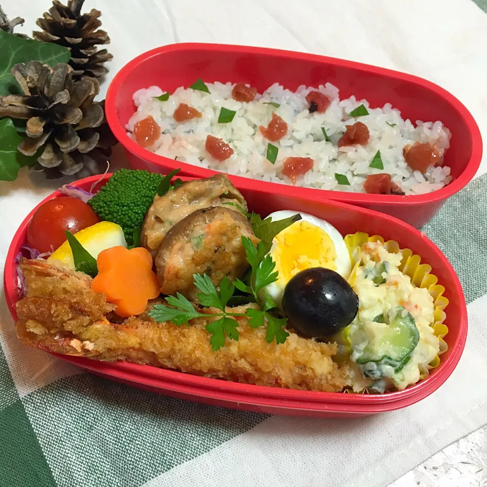 海老フライと梅干しのお弁当|Mikaさん