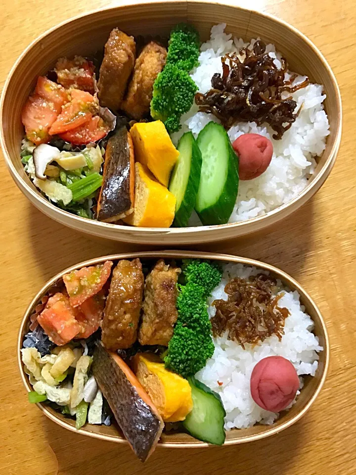 Snapdishの料理写真:今日の夫婦弁当😊昨日に引き続き焼き鮭、鶏つくね照り焼き、小松菜と椎茸の煮浸し、トマトの胡麻和え🎶|5ネコママさん