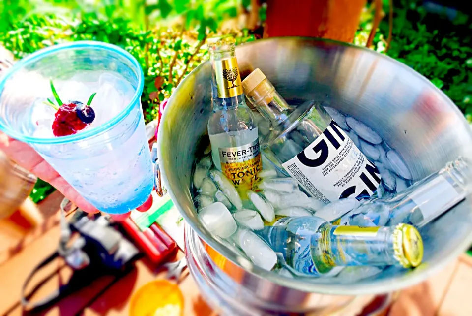 ジントニック Gin and Tonic for summer party|hipboaさん