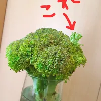 Snapdishの料理写真:|cyunleyさん