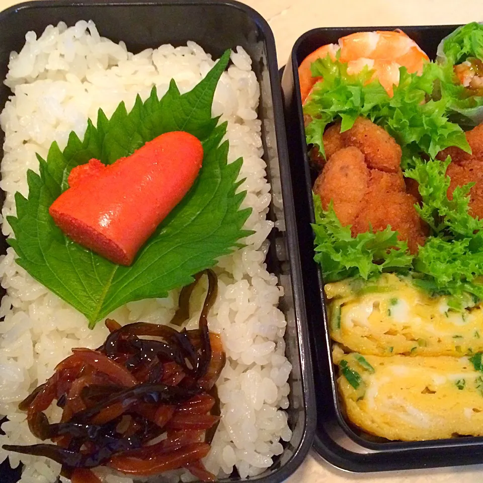 #男子弁当 #お弁当 #明太子 #卵焼き #唐揚げ #海老ボイル #生春巻 #男飯 #親父飯 #横浜 #美容師|Booパパさん