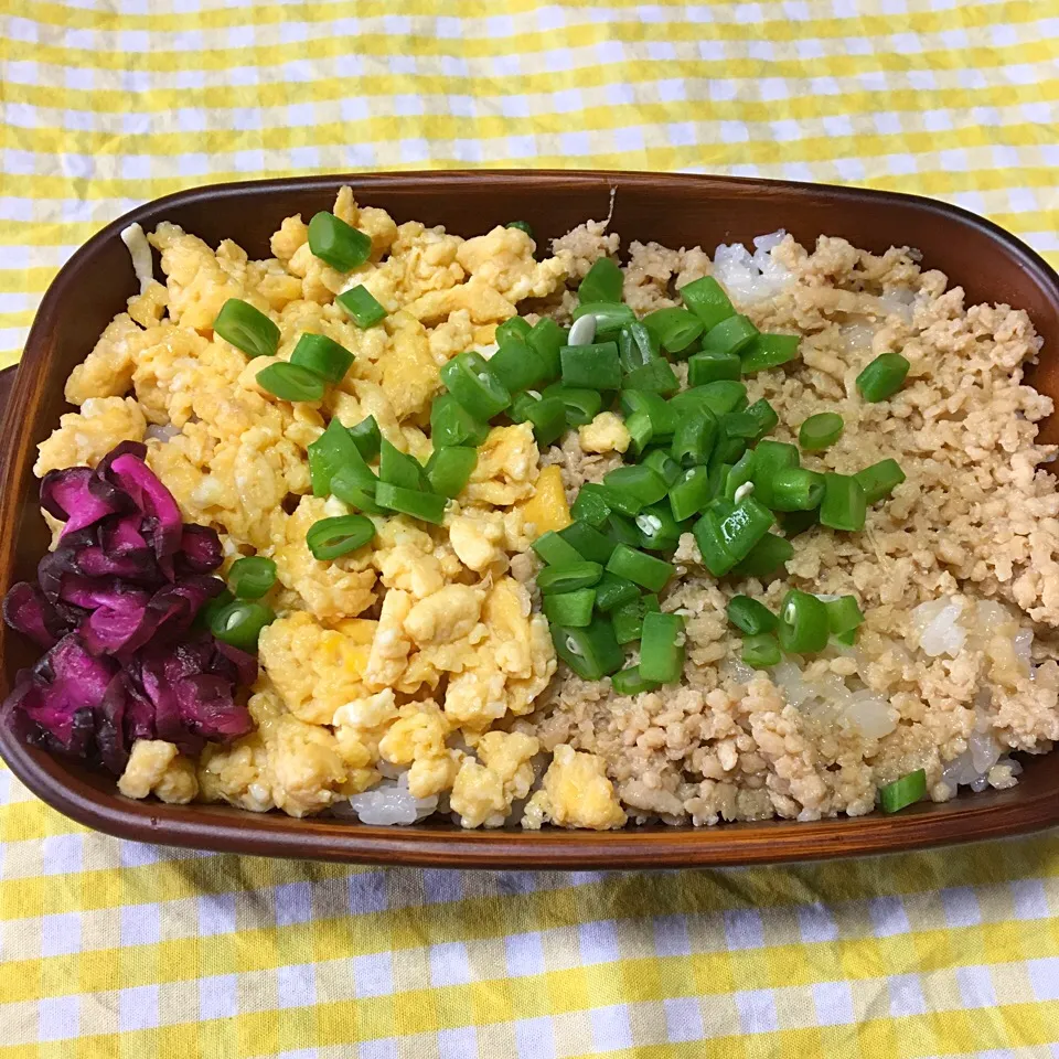 9/29のお弁当|どくきのこさん