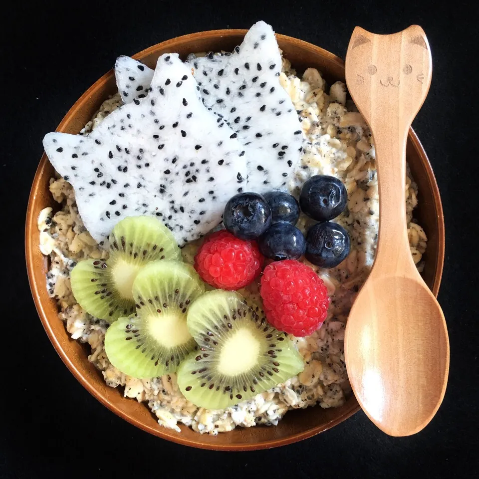 Cat themed breakfast oats|coxiella24さん