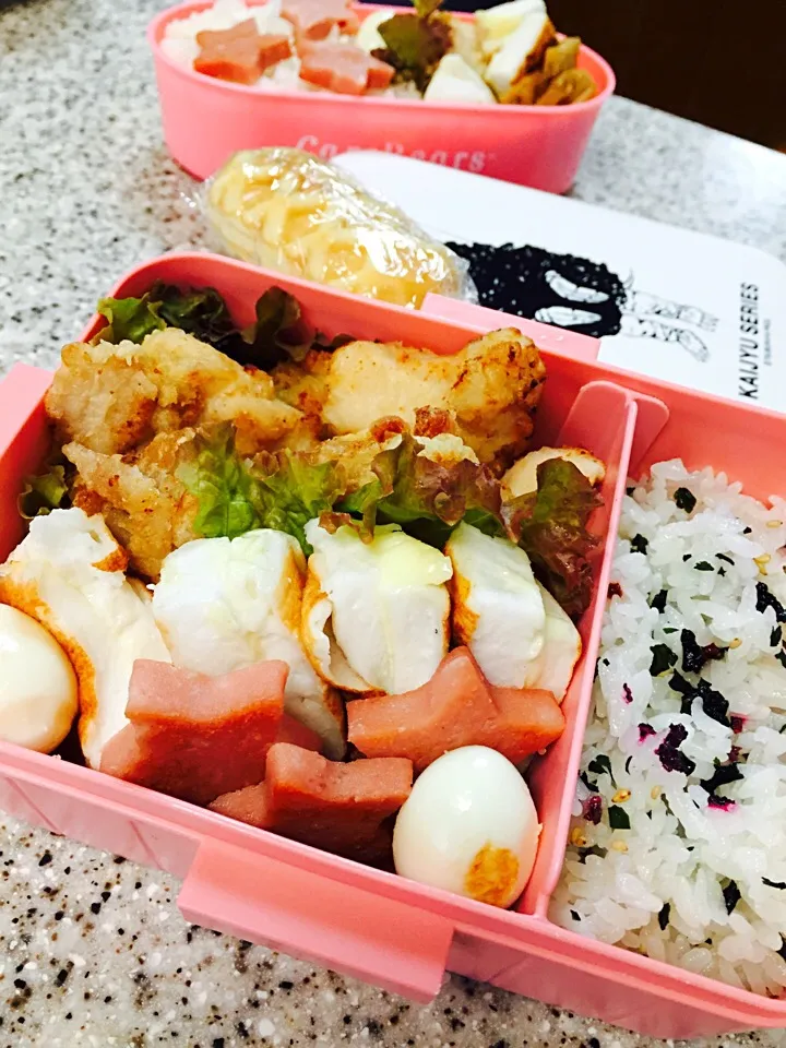 Snapdishの料理写真:今日の娘っちの お弁当|えみちさん