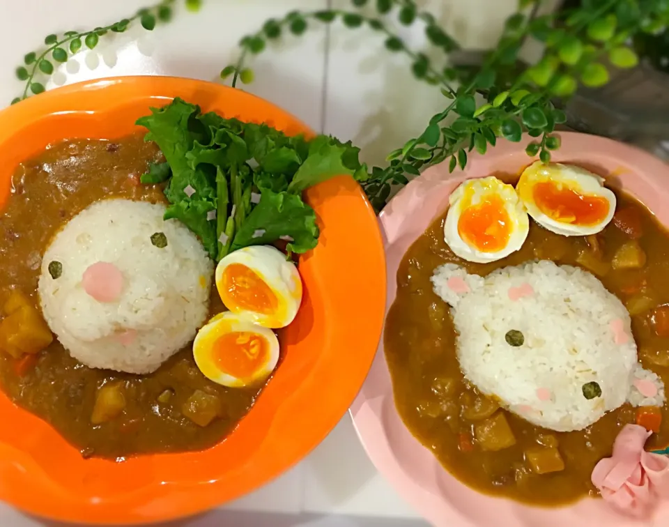 ポンデライオンとフレンチウーラーのデコカレー🍛|せいこさん