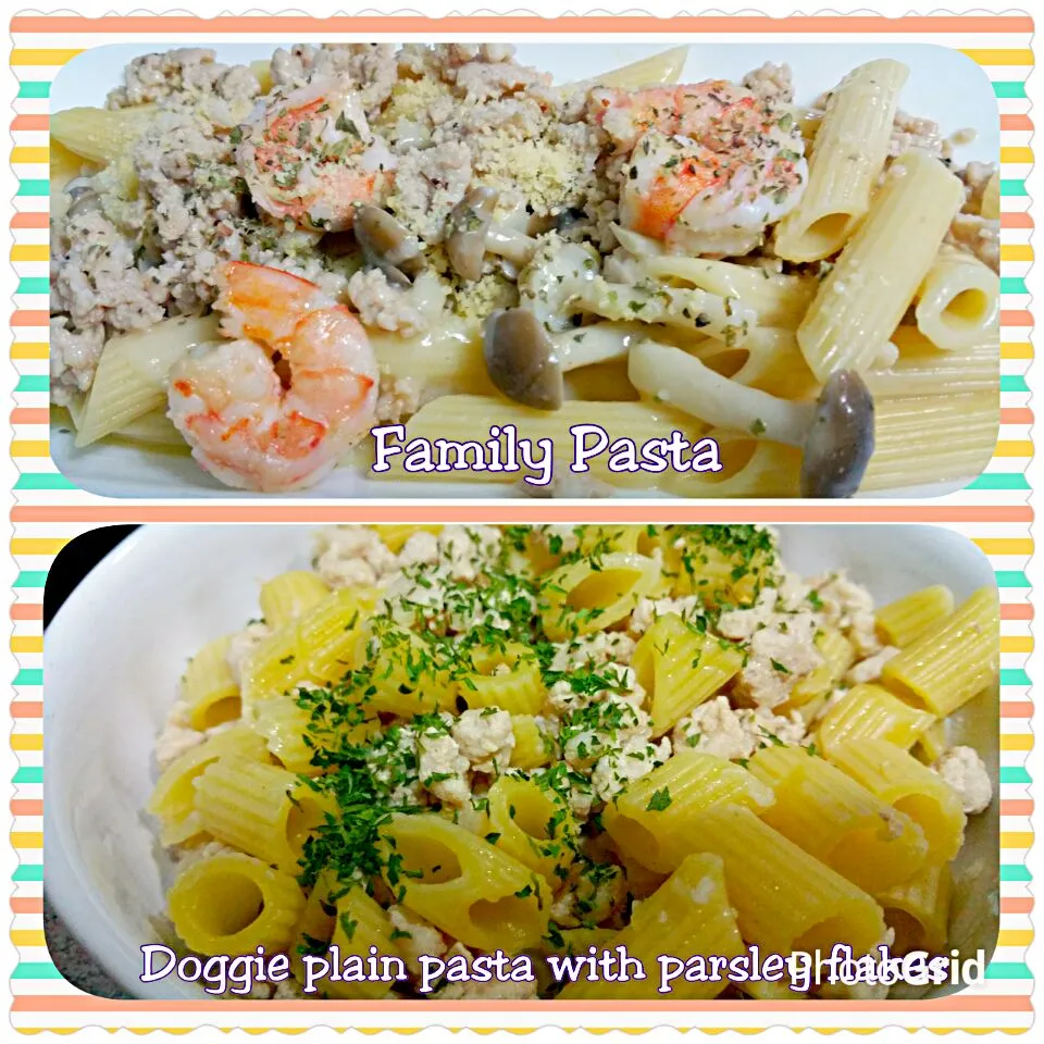 Tonight's Carbonara Pasta Dinner 😜🙆 plain pasta with minced pork and parsley flakes for my cute 🐶  he loves it so much😙|🌷lynnlicious🌷さん