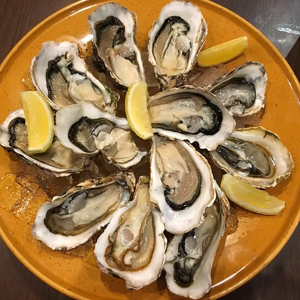 Freshly shucked Oysters|Carin Tayさん