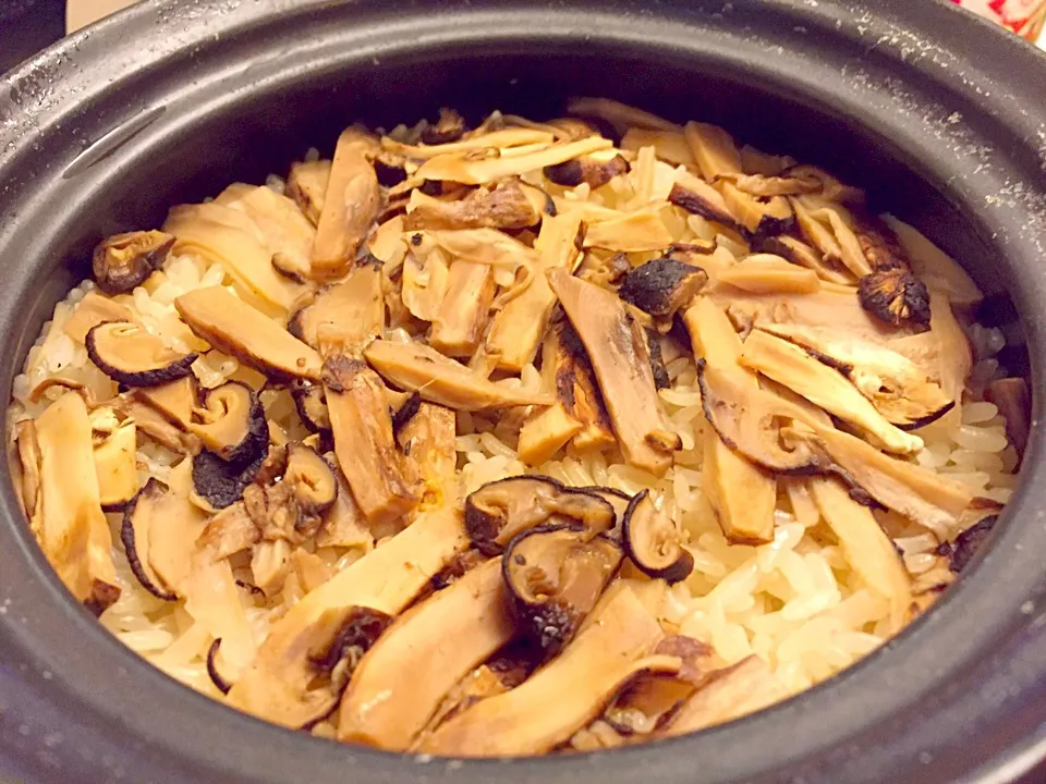 🍄菌中之王を頂いたら、炊き込みご飯は外せませぬ👏たっぷり炊いたので今宵もコレですわ😋|にゃあ（芸名）さん