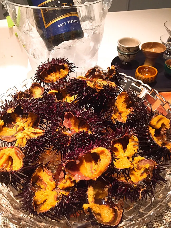 お取り寄せムラサキウニでパーティ
Fresh Hard-spined sea urchin party|hipboaさん