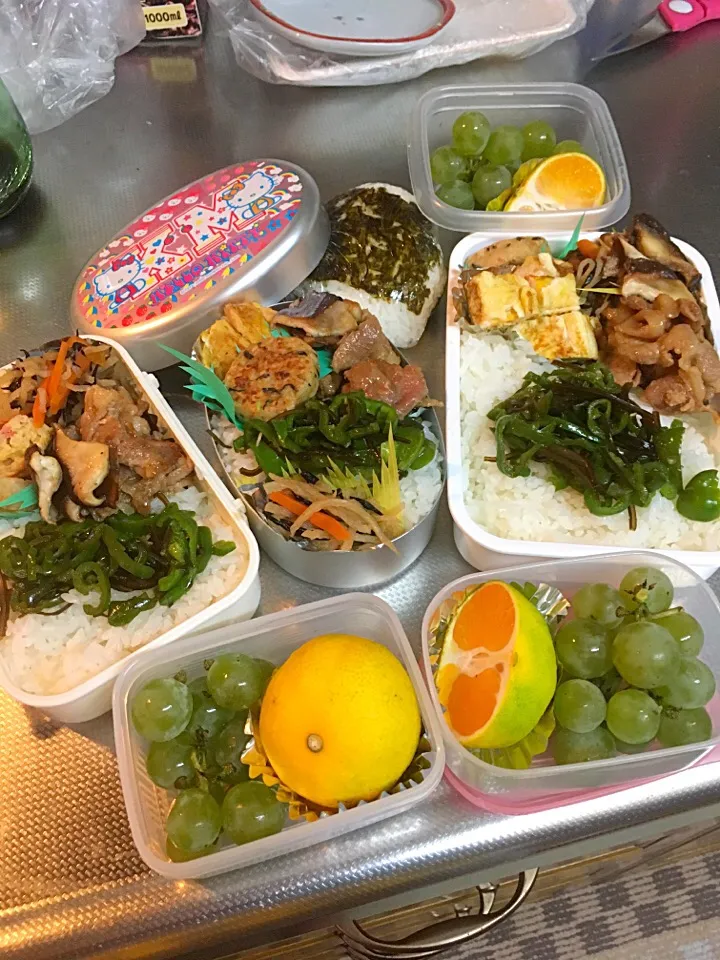 大人の弁当😋
オススメは、ピーマンと塩昆布炒め！
ふりかけ代わりに美味しいっす😊|みかさん