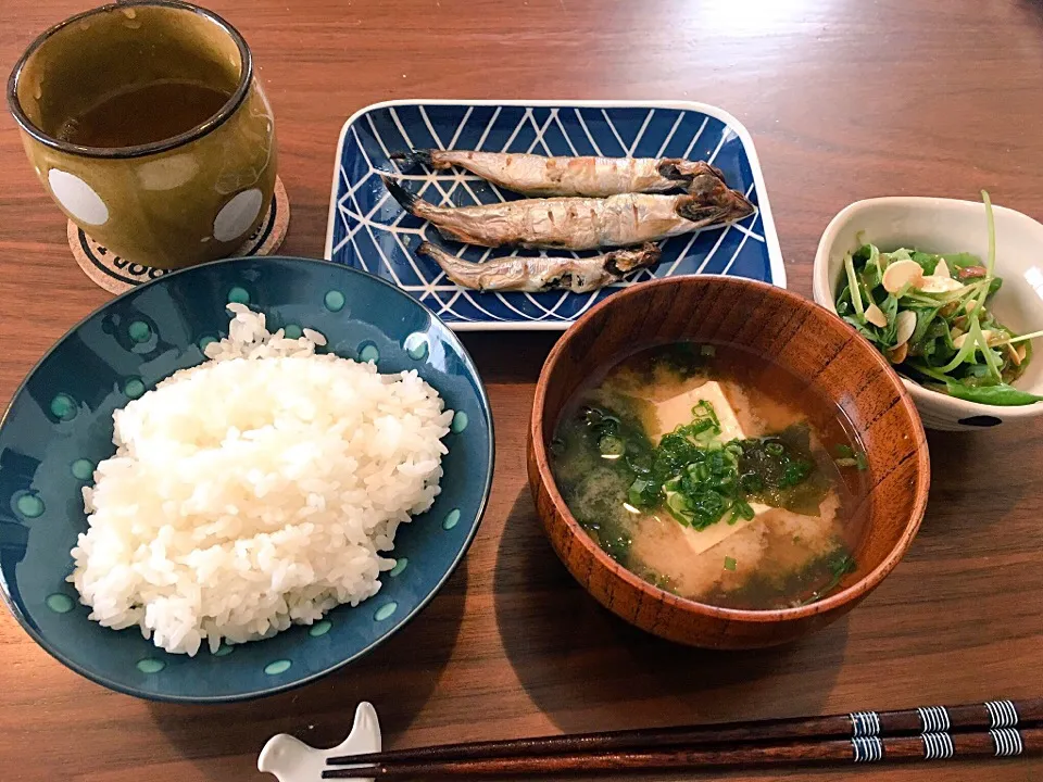 和朝食|Maho Takamiさん