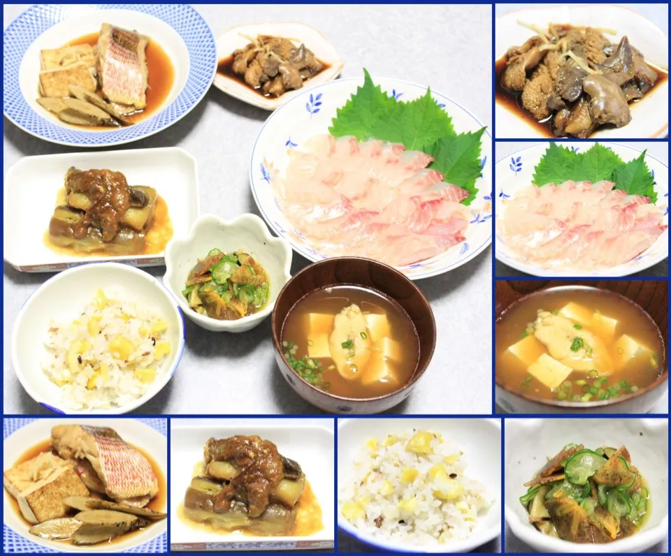 昨日の夜はヨコスジフエダイの晩ご飯|Orie Uekiさん