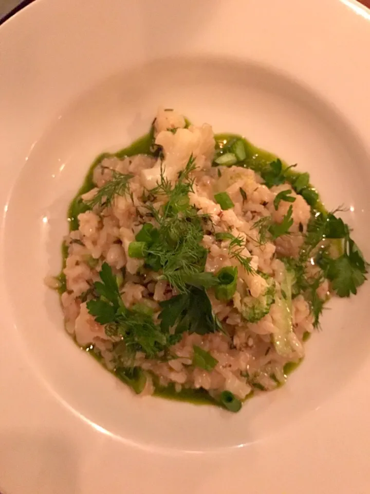 vegetable risotto, broccoli, mushroom, herbs|Ryderさん