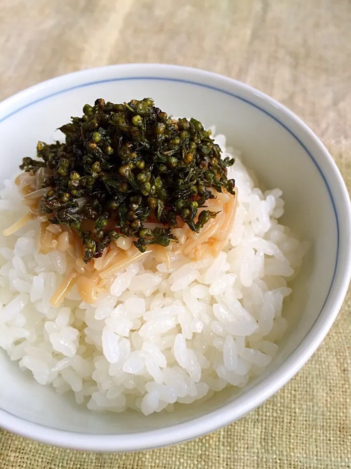 💚シソの実の季節💚ゴマ油と醤油でジュと炒めて自家製なめ茸にオン♪|あまねこ🌿さん