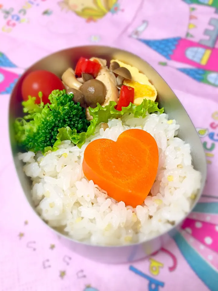 幼稚園弁当|さとねこさん