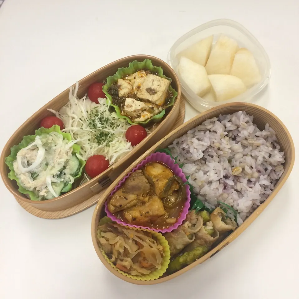 弁当（鶏肉黒胡椒炒め、アスパラ肉巻き、切り干し大根、麻婆豆腐、サラダ、デザートの梨）|SasaMasa213さん