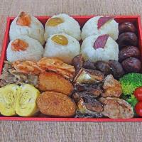 美味しい秋の行楽弁当2016