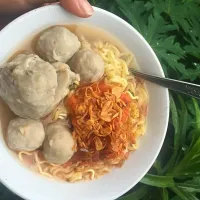 Snapdishの料理写真:Indonesian meatballs (bakso)|Maretin Sandyさん