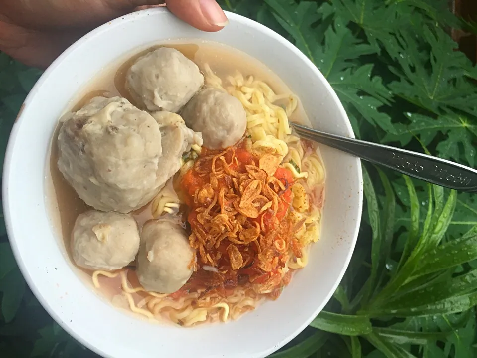 Snapdishの料理写真:Indonesian meatballs (bakso)|Maretin Sandyさん