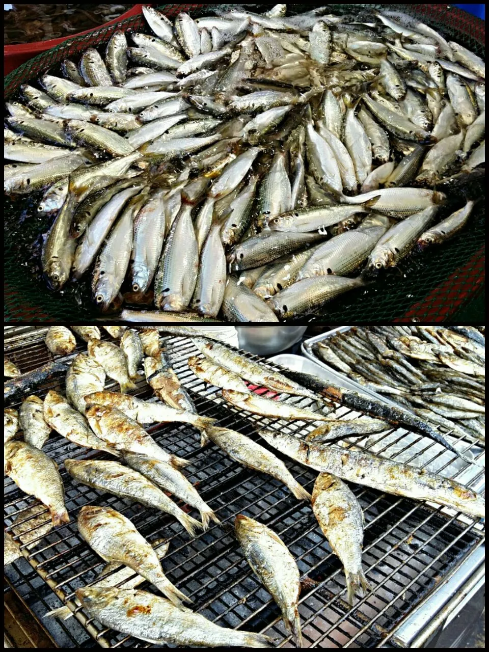 grilled fish @ Soraepogu fish market|steven z.y.さん