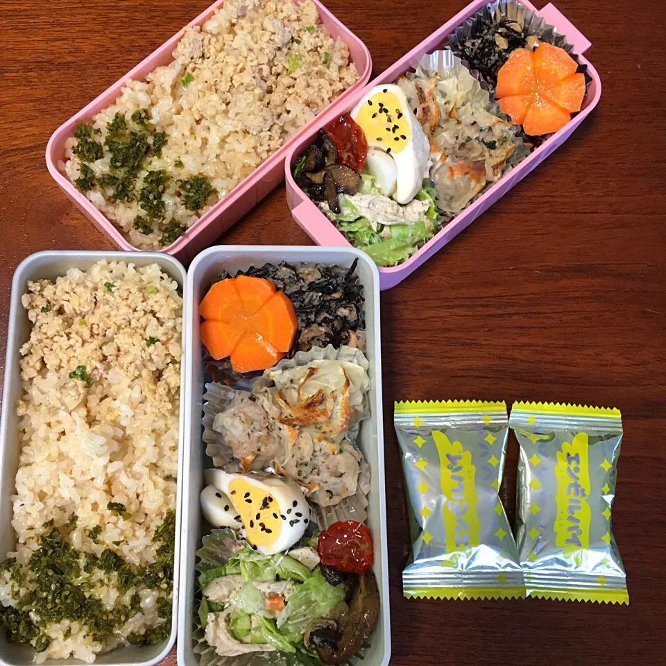 10/4 お弁当|もっちさん