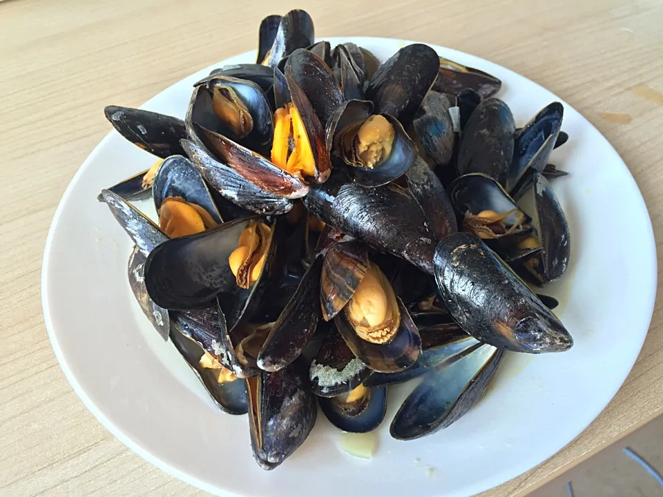 mussels|Theresaさん