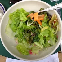 the big salad, spring mix, carrot, radish, vinaigrette|Ryderさん