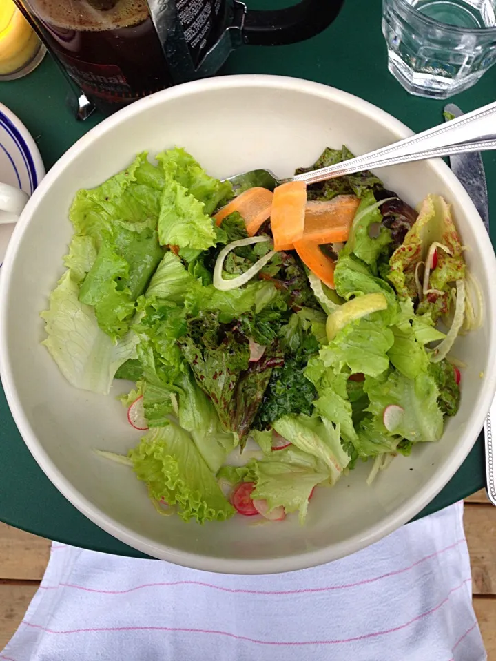 the big salad, spring mix, carrot, radish, vinaigrette|Ryderさん