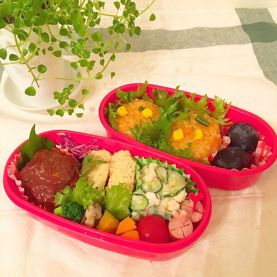 ハンバーグのお弁当|Mikaさん