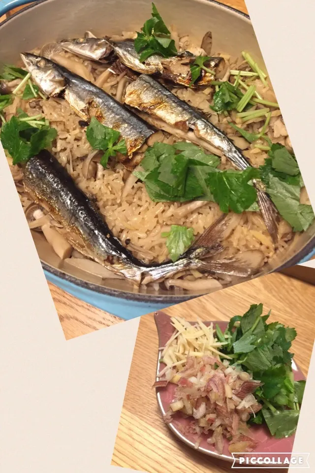 今年も秋の定番料理【秋刀魚ご飯】は上出来でした！小骨を一本一本毛抜きで取り除く作業も喜ばれるからこそ頑張り甲斐がありますね。薬味にはミツバ・ミョウガ・刻みネギを好きなだけ掛けて。秋刀魚ご飯は薬味で食べるといっても過言ではない😋|MORiさん