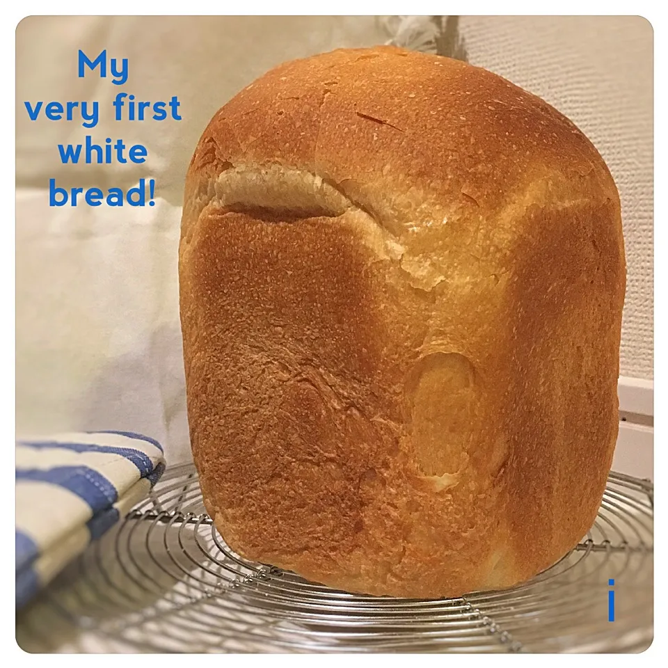 ホームベーカリーデビューしました🔰🍞 【My very first white bread】|izoomさん