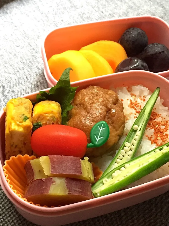 今日のお弁当🍱|Lilyさん