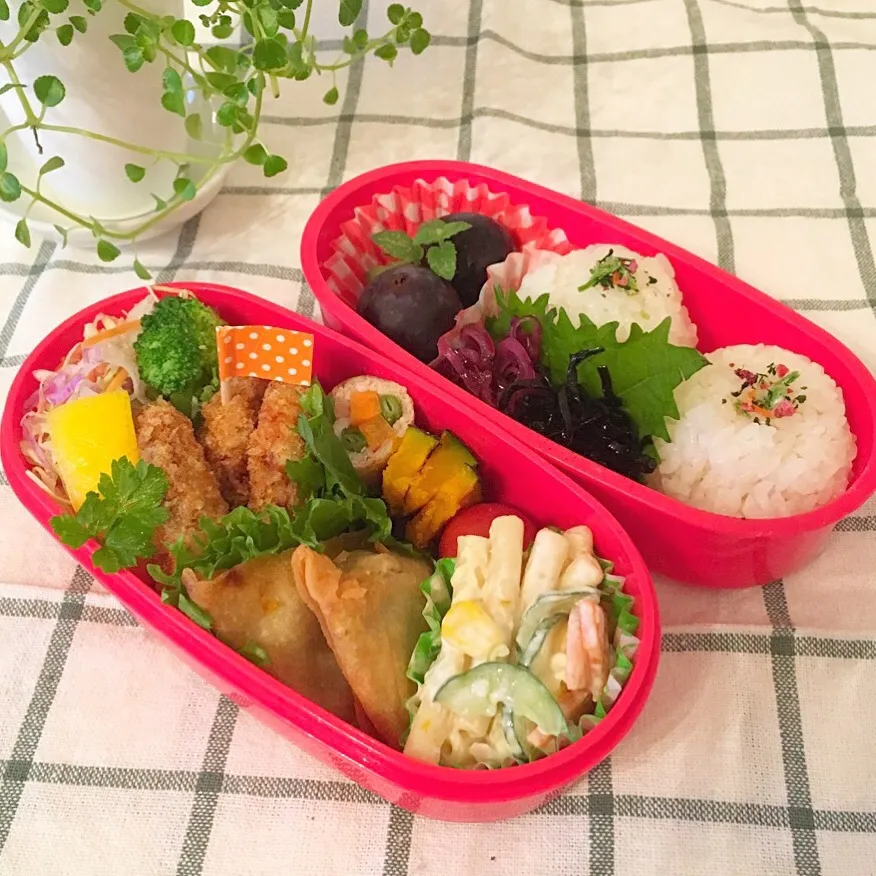 Snapdishの料理写真:ひとくちヒレカツのお弁当|Mikaさん