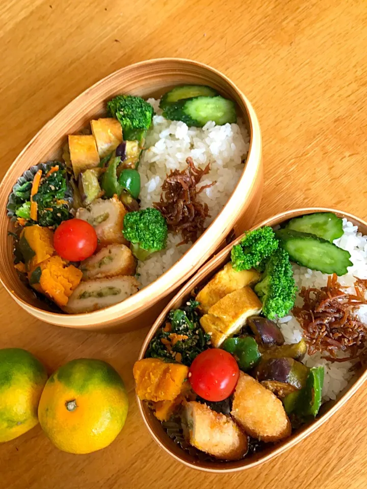 今日の夫婦弁当✨
ちりめん山椒と胡瓜のぬか漬けのっけゴハン、カボチャ煮、茄子とピーマンの味噌炒め、ほうれん草と人参の胡麻和え🎶|5ネコママさん