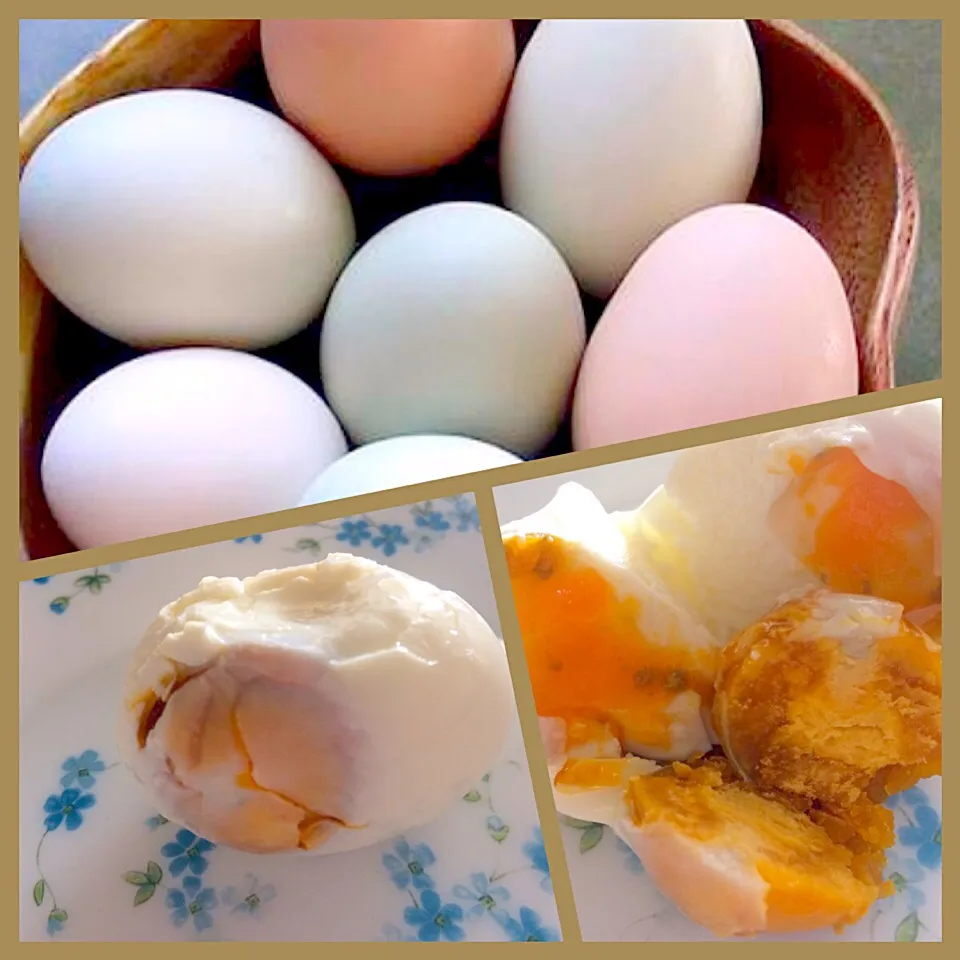 Homemade Salted Egg 🐣😍 Itlog na Maalat 🇵🇭|Food Gardenさん