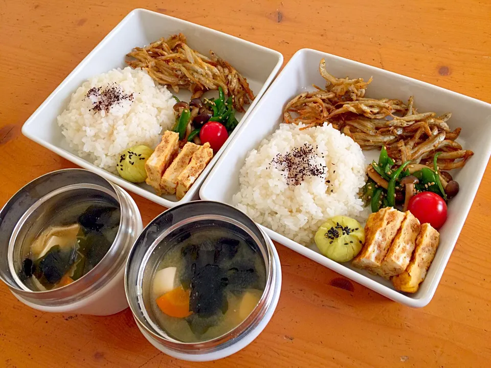 置きご飯  ワカサギのから揚げと鳥挽肉の卵焼きとピーマンとしめじの炒め物とさつまいもの茶巾|ルドルフさん