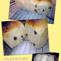 Snapdishの料理写真:食パンレーズン入り|Eirさん