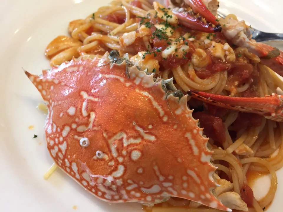 渡り蟹丸ごと一杯のパスタ🍝🦀|Kojiさん