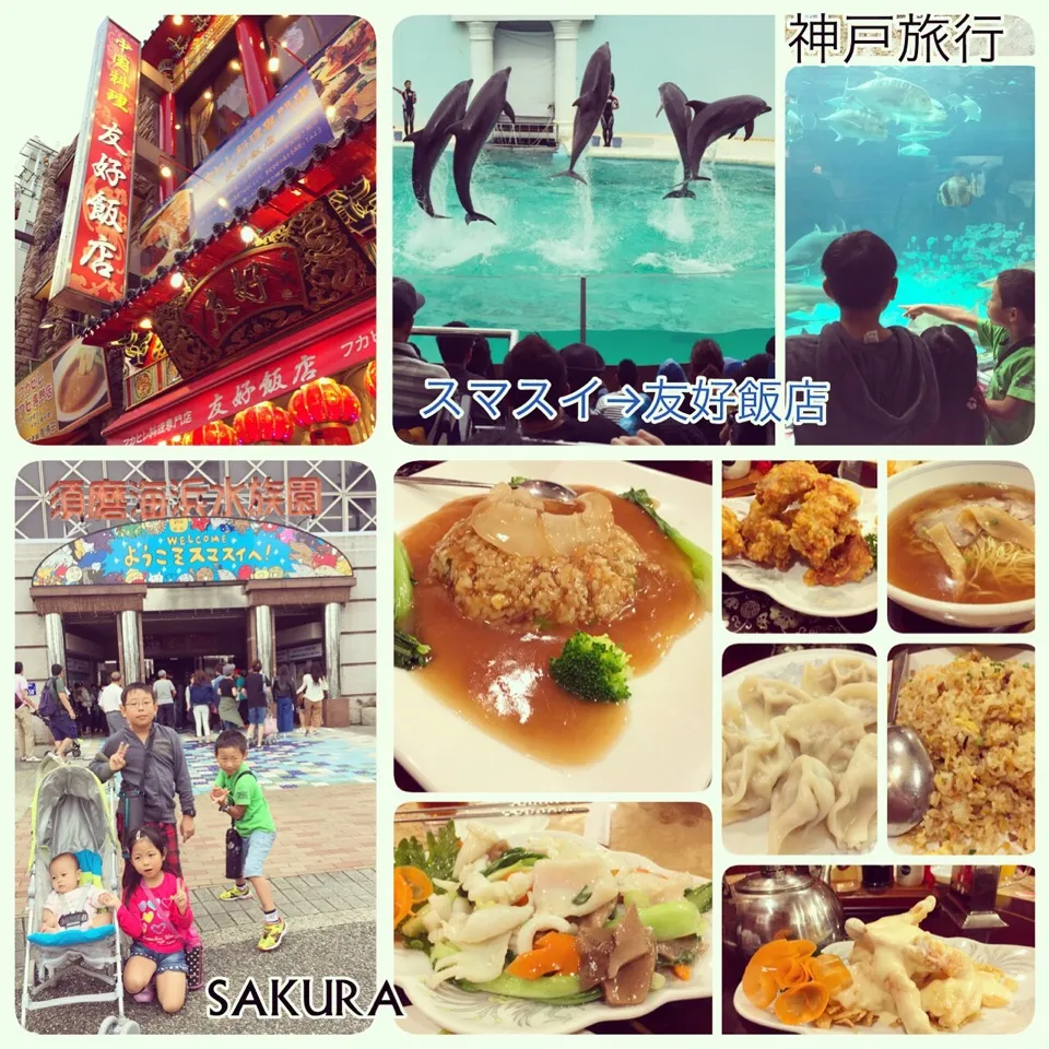 神戸旅行
スマスイ🐡🐠🐟🐬からの友好飯店🇨🇳|さくちんさん