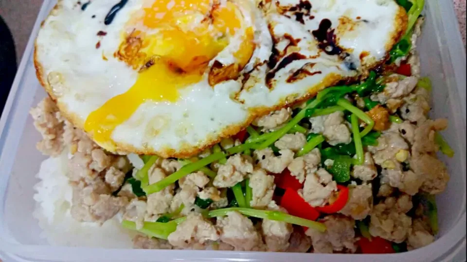 Today's Packed Lunch 😍Looking forward to lunch
Minced pork stir fry with green red peppers chilli padi pea sprouts & fried egg 👅|🌷lynnlicious🌷さん