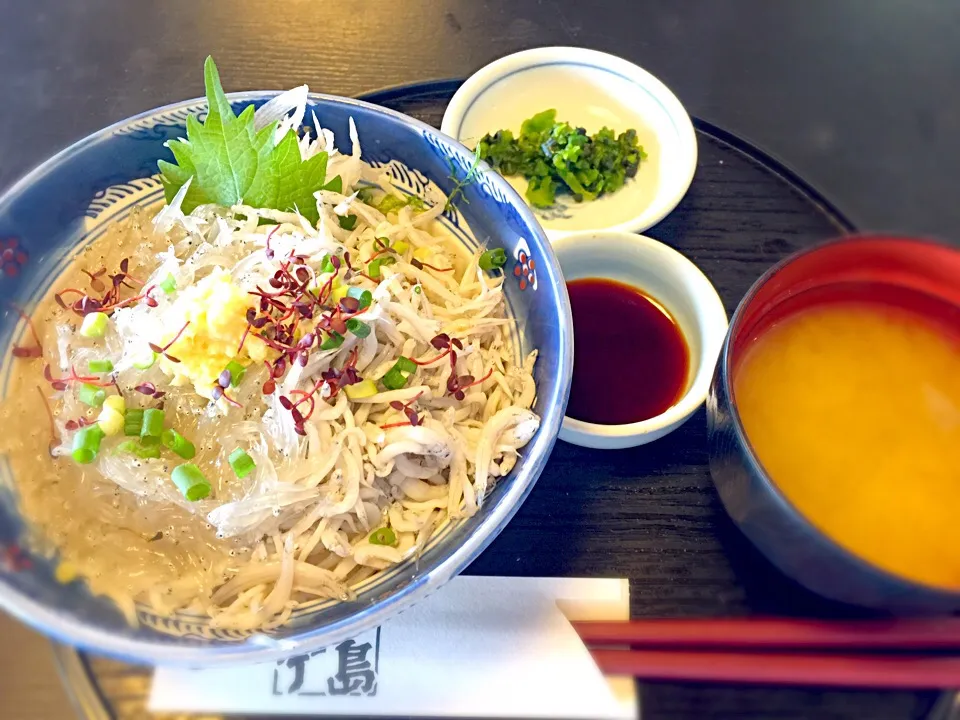 生しらすハーフ丼|チカさん