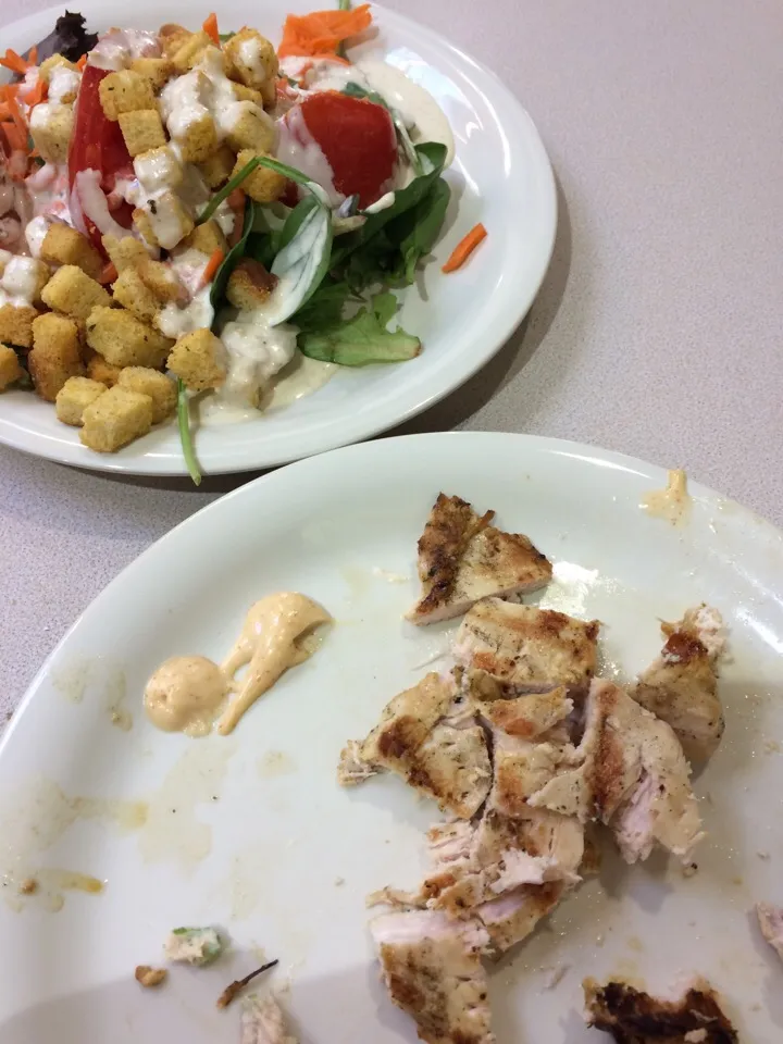 Meal 1: grilled chicken, salad with Caesar dressing...not pictured protein shake and tuna on one slice of whole wheat bread|Marissa Castroさん